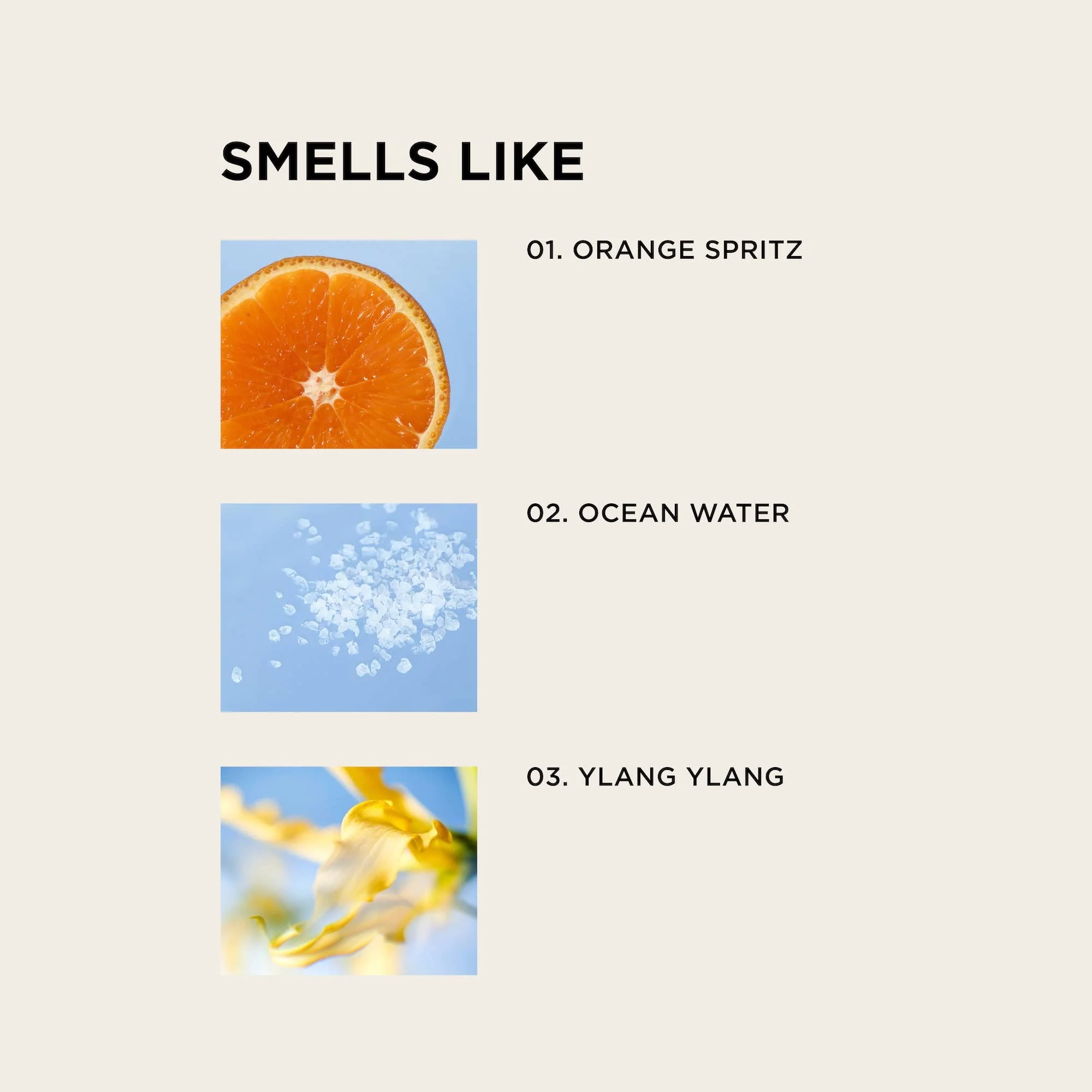 BEACH BABY body + hair perfume mist - Image 3