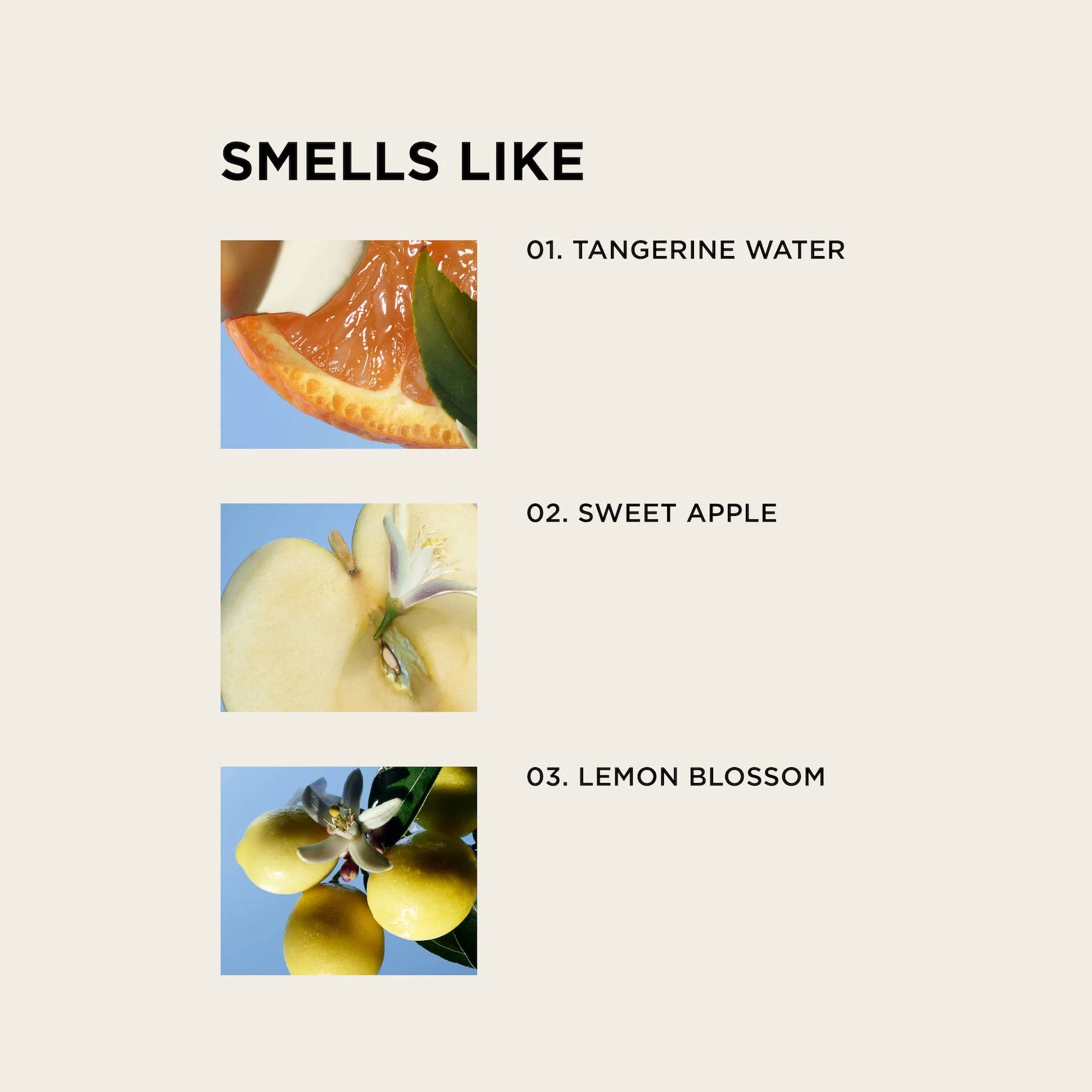 BIRTHDAY SUIT body + hair perfume mist - Image 3