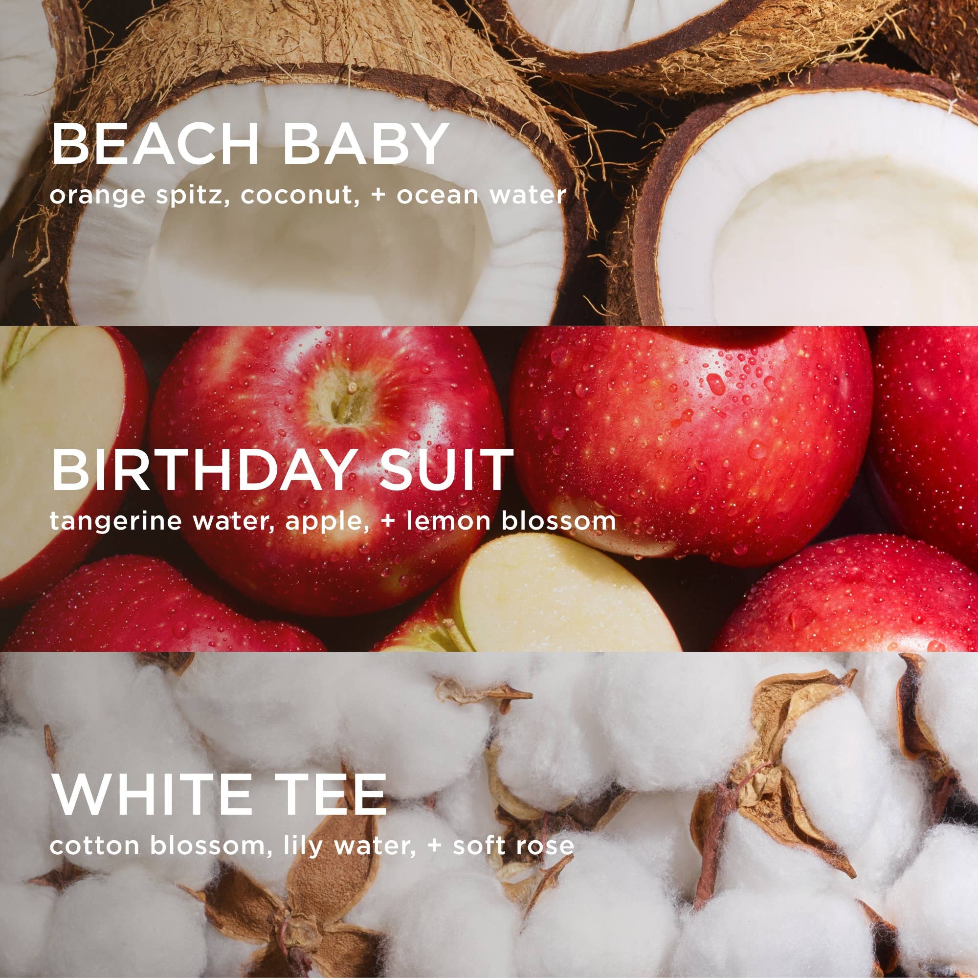 Body + Hair Mist Trio Set - Image 2