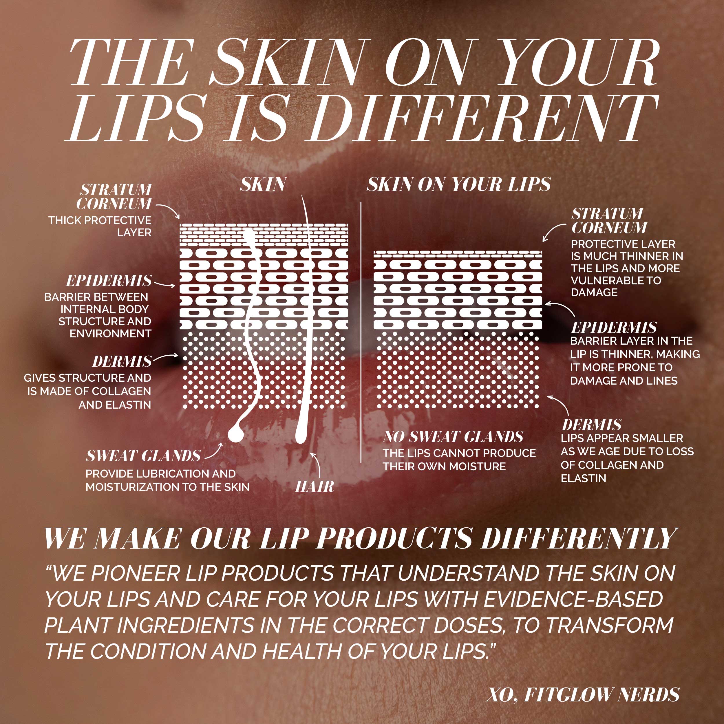  Ceramide Hydra-Balm - Image 3