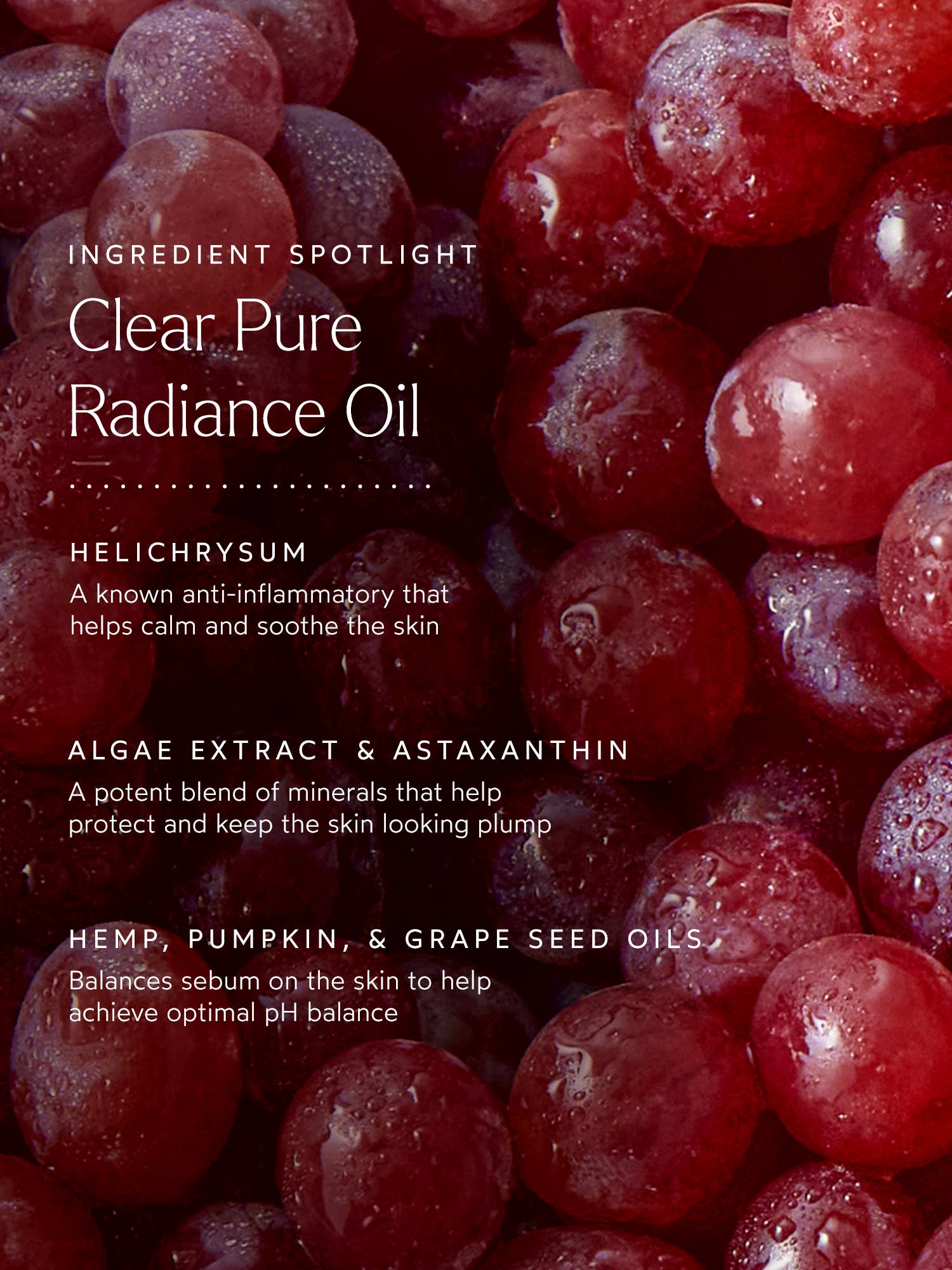 Clear Pure Radiance Oil - Image 3