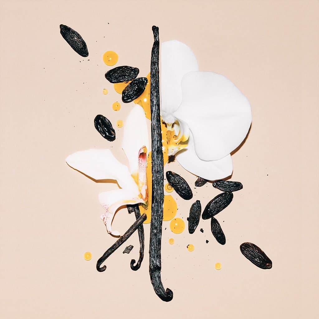 DIRTY VANILLA - Image 7