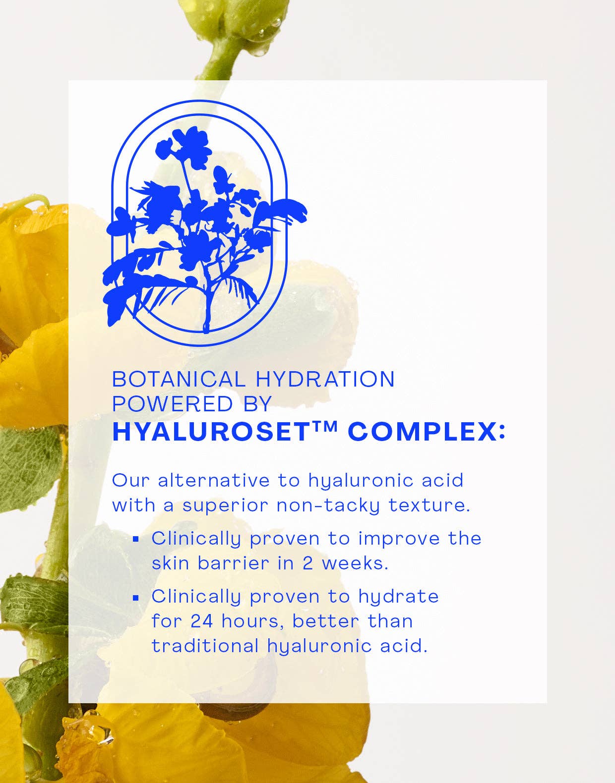 Gentle Micellar Antioxidant Cleanser - Image 8
