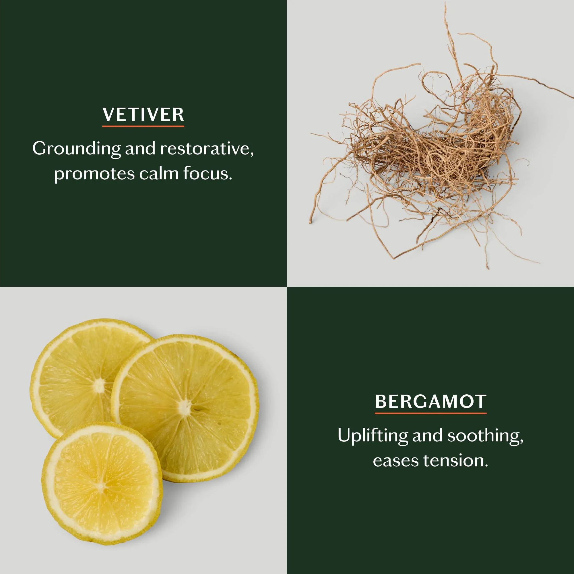 Grounding Stone | Deep Moisturizing Lotion Bar - Image 17