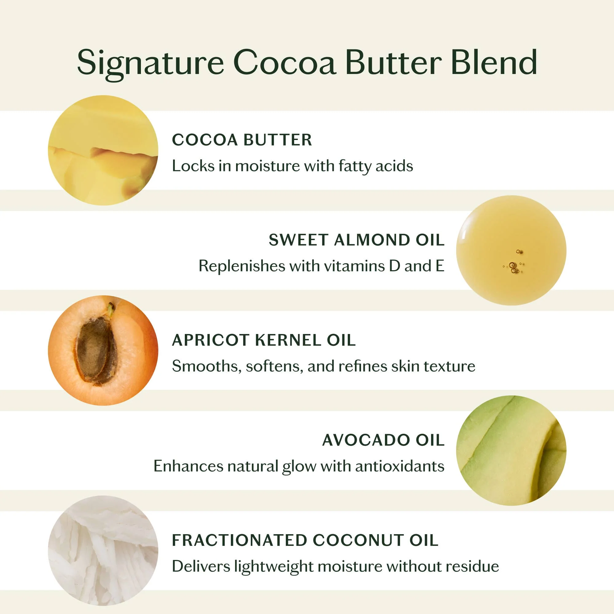 Grounding Stone | Deep Moisturizing Lotion Bar - Image 21