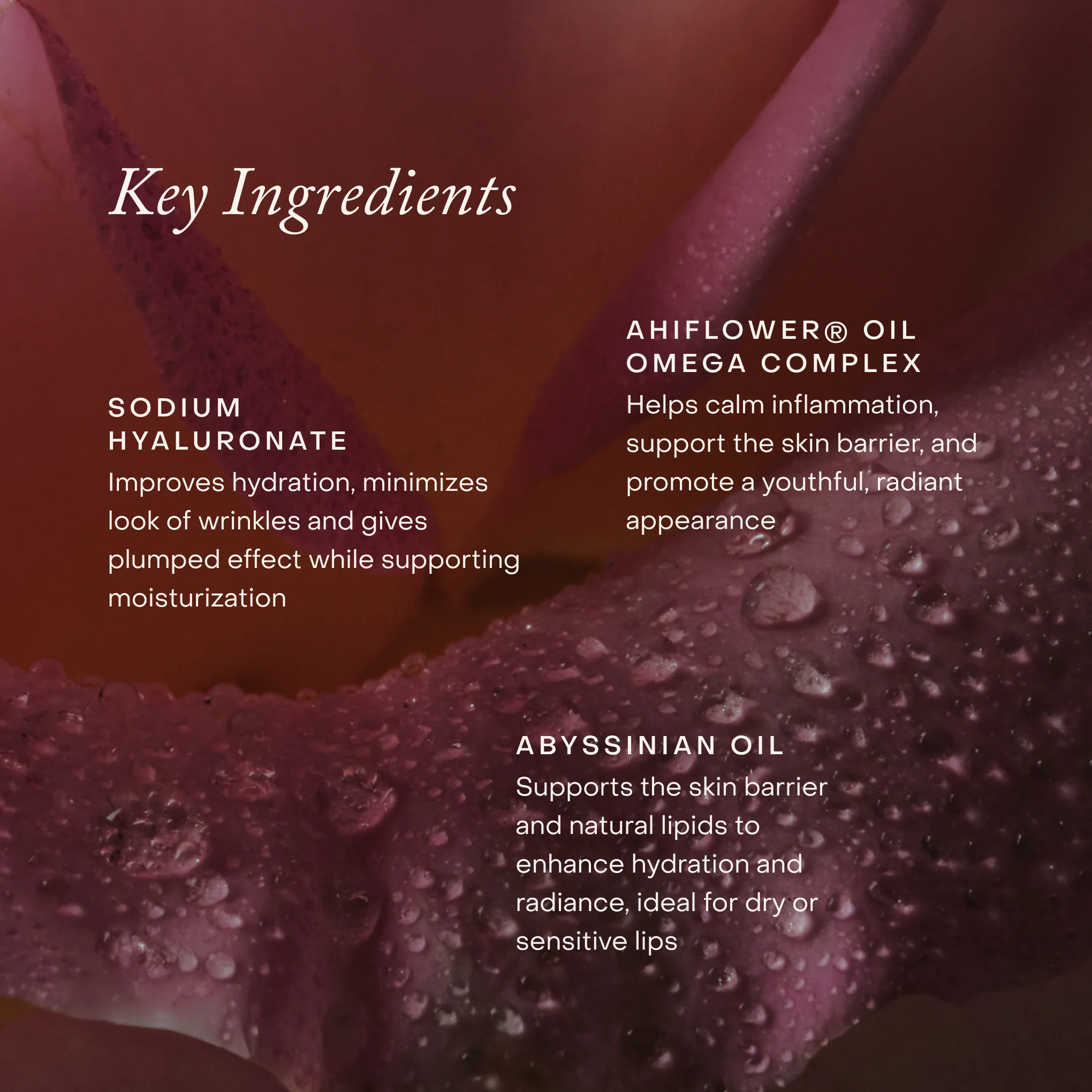 Lipid Lip Hydrating Lip Oil - Image 6