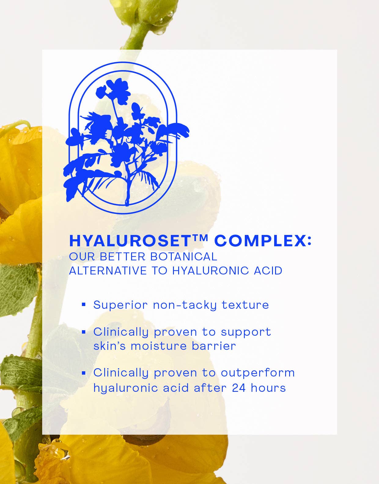 Nourishing Squalane Daily Moisturizer - Image 4