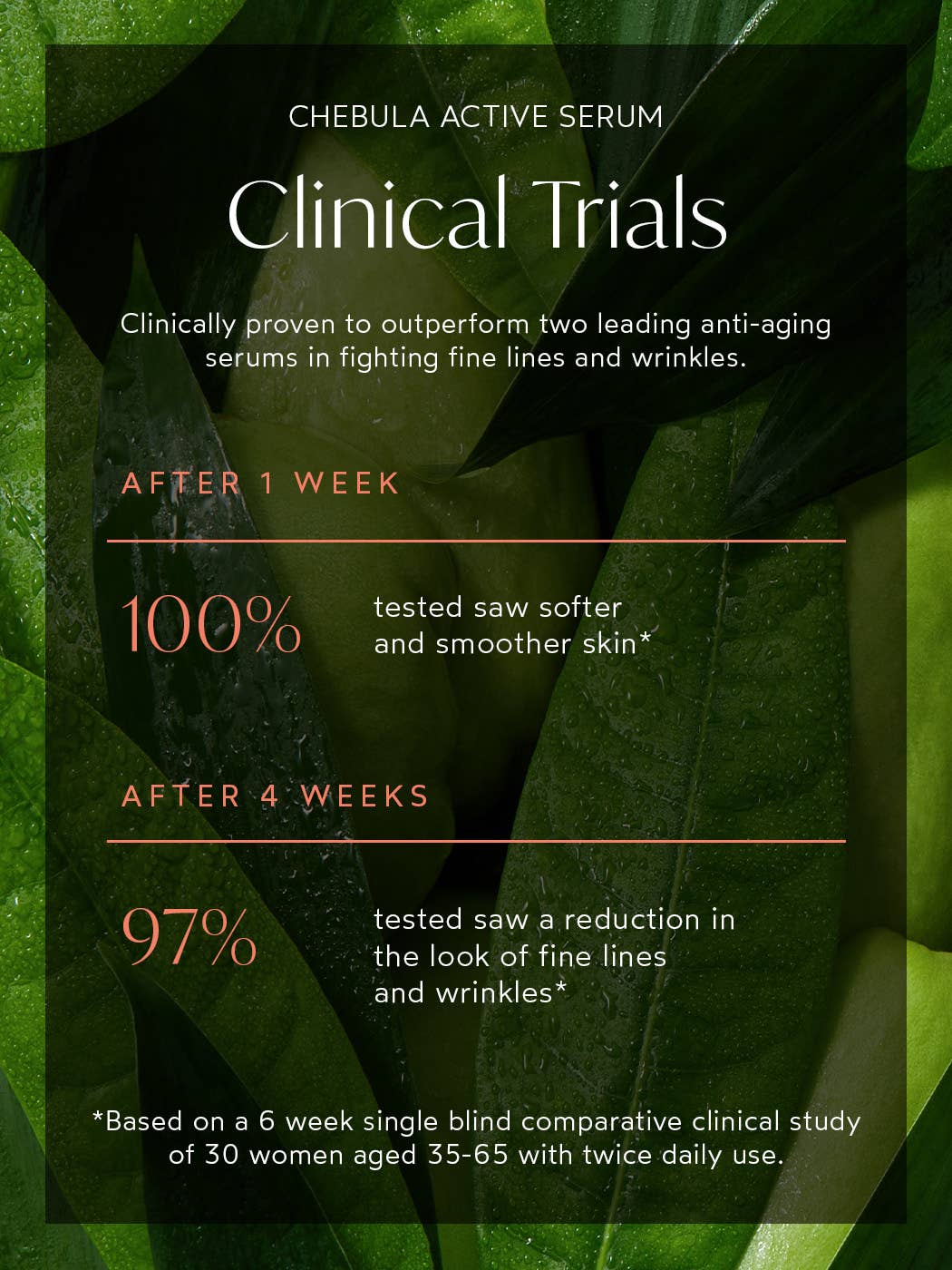 Renew Chebula Active Serum - Image 8