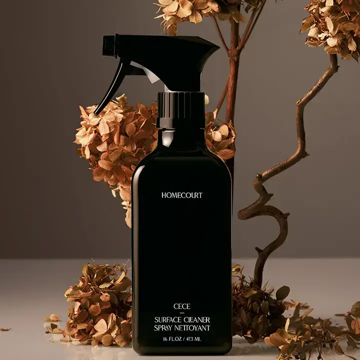 Surface Cleaner