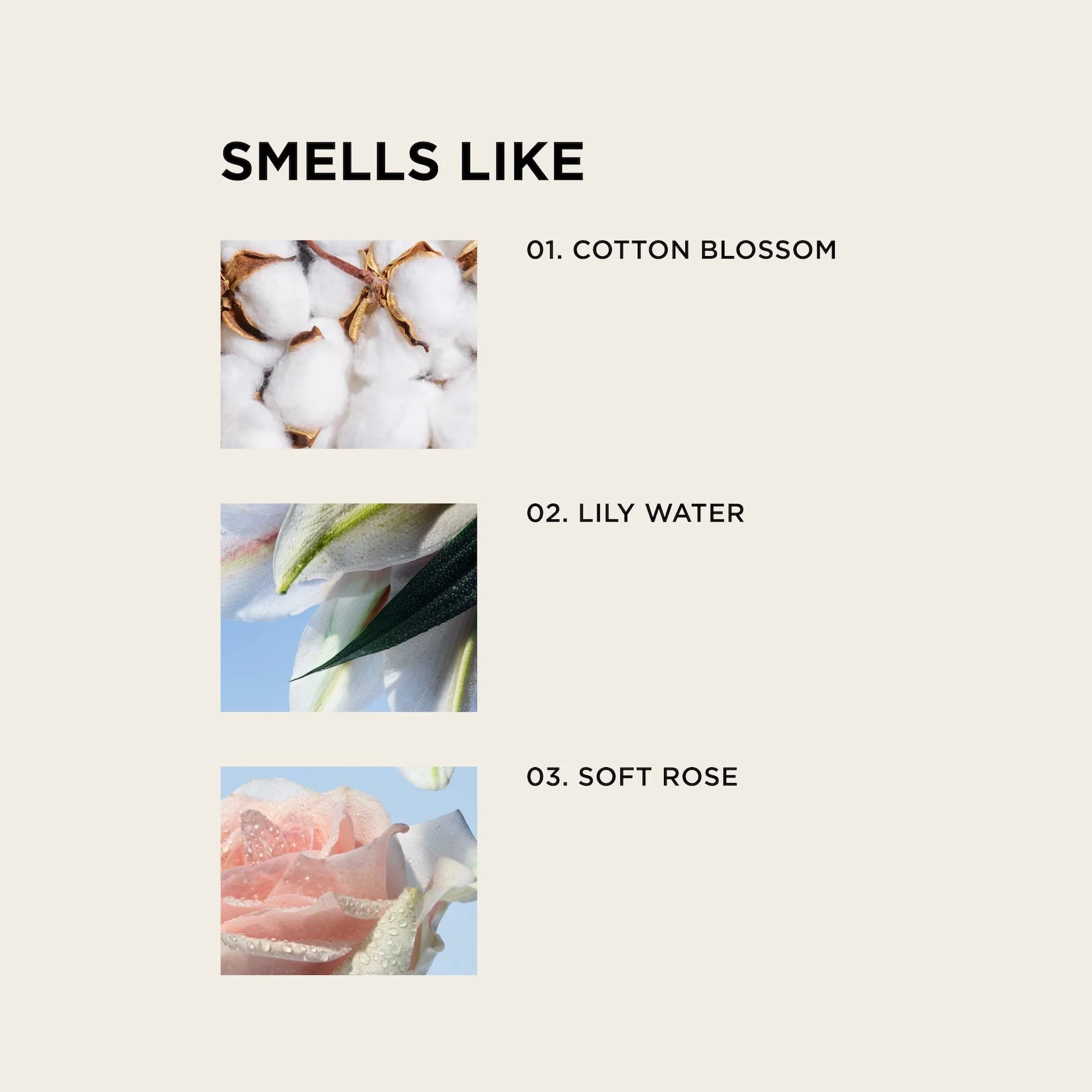 WHITE TEE body + hair perfume mist - Image 3